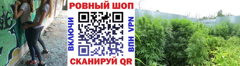 Мефедрон Каневская