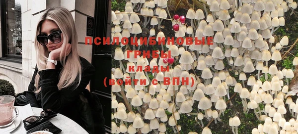 mdpv Алзамай