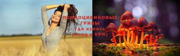 jwh Алексеевка