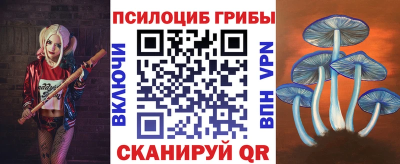 Псилоцибиновые грибы Psilocybe  Каневская 